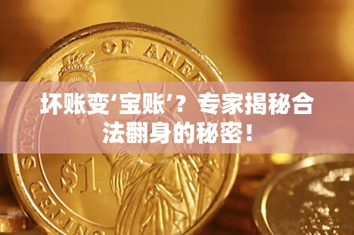 武汉坏账变‘宝账’？专家揭秘合法翻身的秘密！