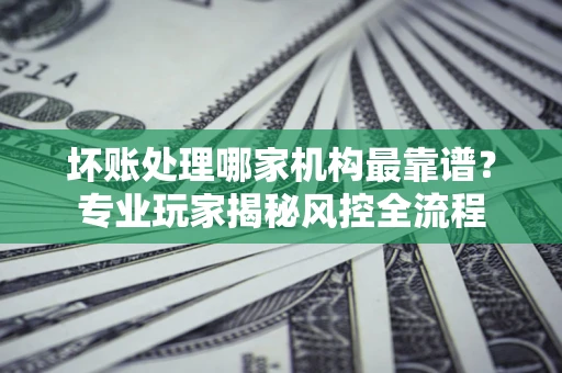 武汉坏账处理哪家机构最靠谱？专业玩家揭秘风控全流程