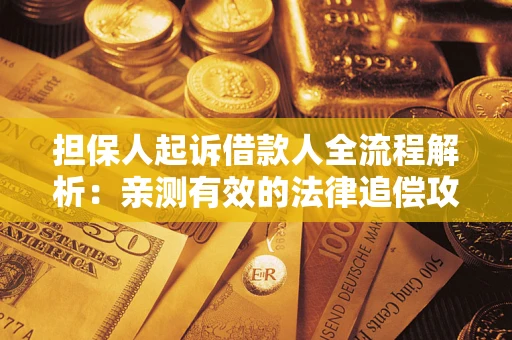 武汉担保人起诉借款人全流程解析：亲测有效的法律追偿攻略