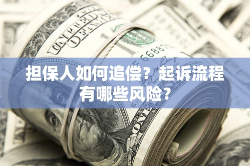 武汉担保人如何追偿？起诉流程有哪些风险？