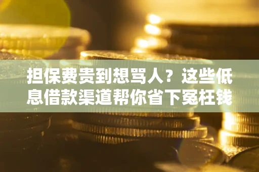 武汉担保费贵到想骂人？这些低息借款渠道帮你省下冤枉钱