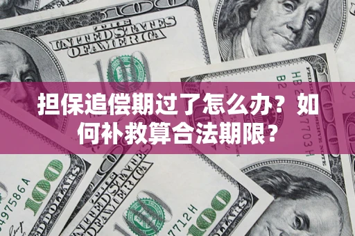 武汉担保追偿期过了怎么办？如何补救算合法期限？