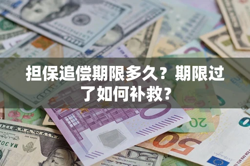 武汉担保追偿期限多久？期限过了如何补救？