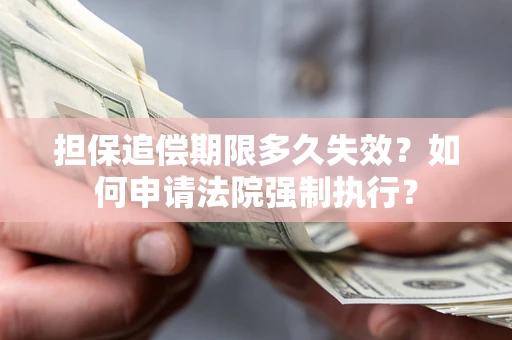 武汉担保追偿期限多久失效？如何申请法院强制执行？