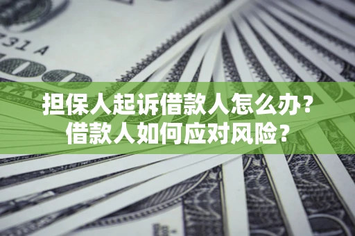 武汉担保人起诉借款人怎么办？借款人如何应对风险？