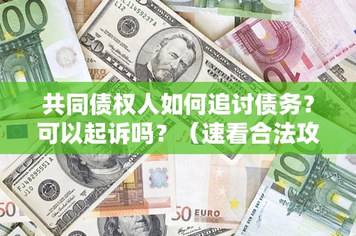 武汉共同债权人如何追讨债务？可以起诉吗？（速看合法攻略）