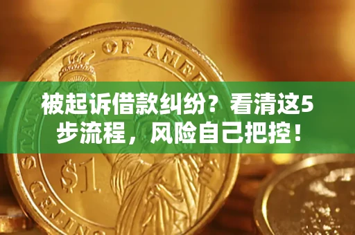 武汉被起诉借款纠纷？看清这5步流程，风险自己把控！