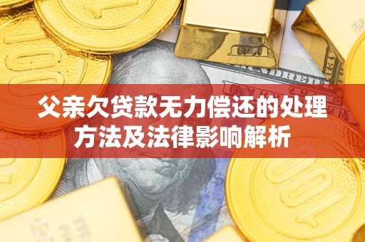 武汉父亲欠贷款无力偿还的处理方法及法律影响解析
